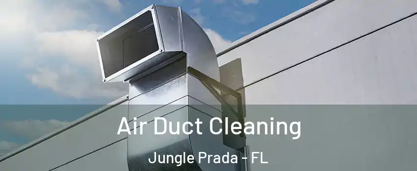 Air Duct Cleaning Jungle Prada - FL