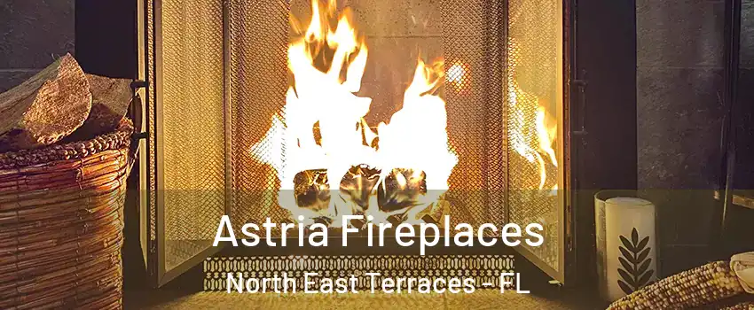 Astria Fireplaces North East Terraces - FL