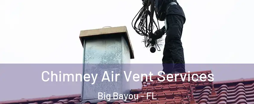 Chimney Air Vent Services Big Bayou - FL