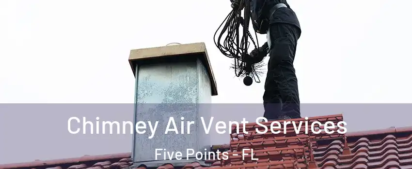 Chimney Air Vent Services Five Points - FL