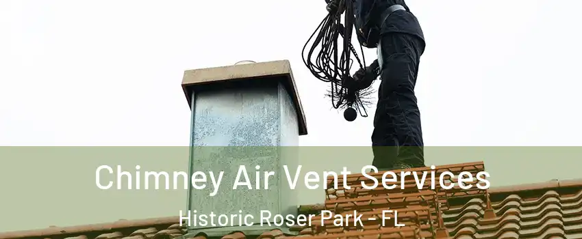 Chimney Air Vent Services Historic Roser Park - FL