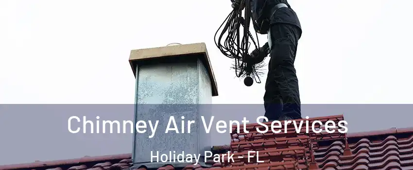 Chimney Air Vent Services Holiday Park - FL