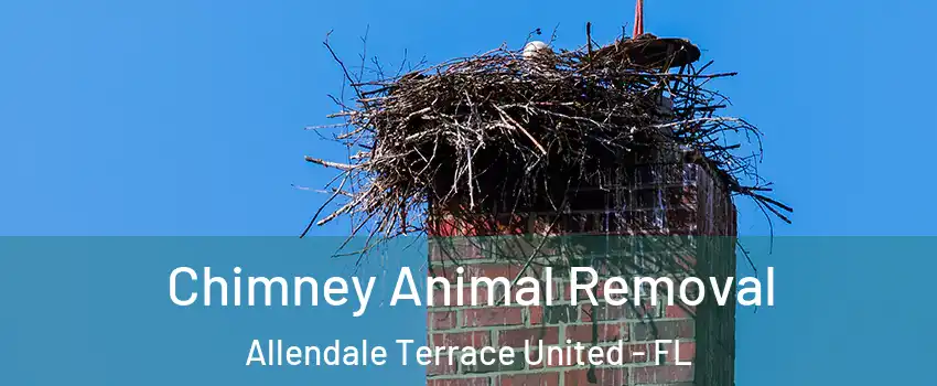 Chimney Animal Removal Allendale Terrace United - FL