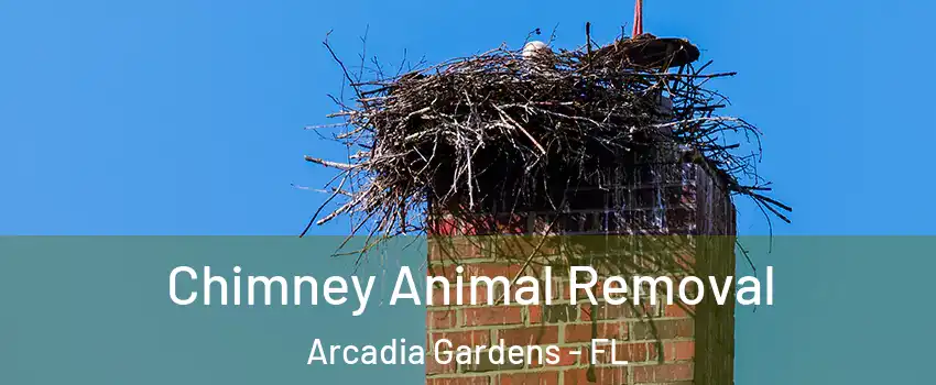 Chimney Animal Removal Arcadia Gardens - FL
