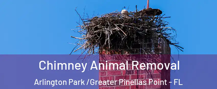 Chimney Animal Removal Arlington Park /Greater Pinellas Point - FL