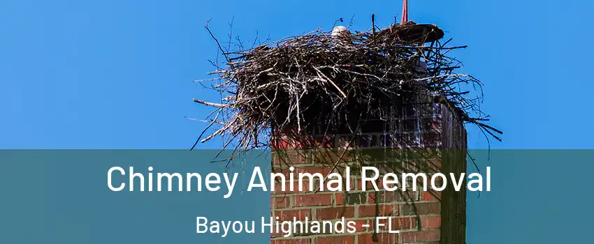 Chimney Animal Removal Bayou Highlands - FL