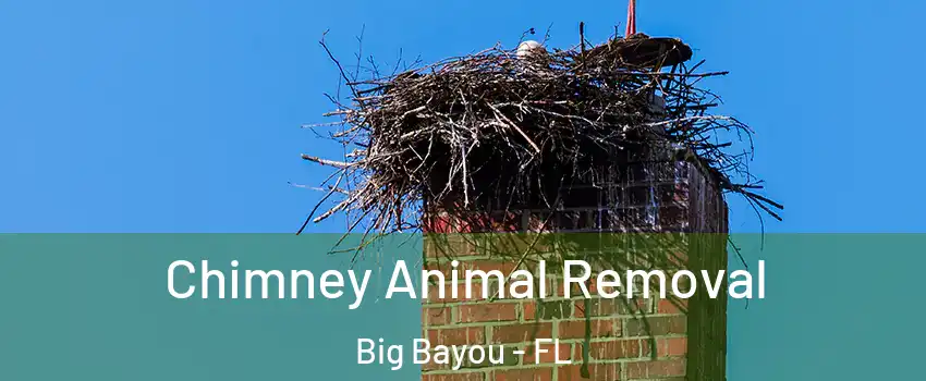 Chimney Animal Removal Big Bayou - FL