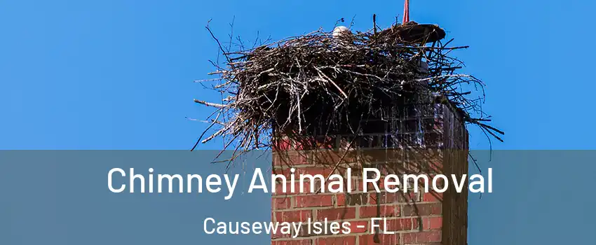 Chimney Animal Removal Causeway Isles - FL