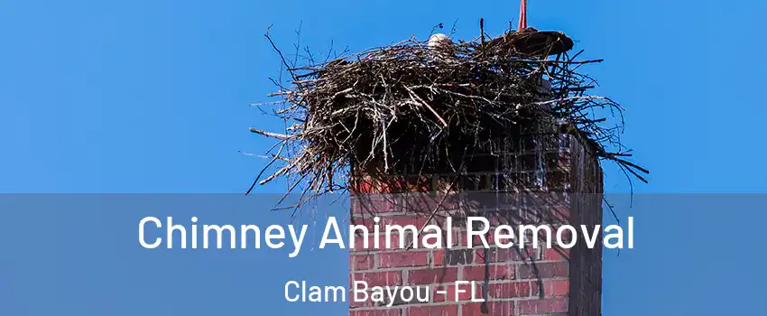 Chimney Animal Removal Clam Bayou - FL
