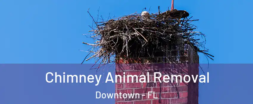 Chimney Animal Removal Downtown - FL