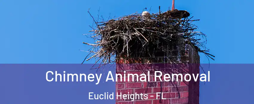 Chimney Animal Removal Euclid Heights - FL