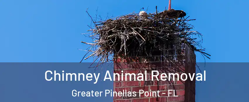 Chimney Animal Removal Greater Pinellas Point - FL
