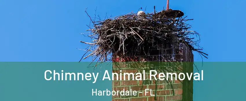 Chimney Animal Removal Harbordale - FL