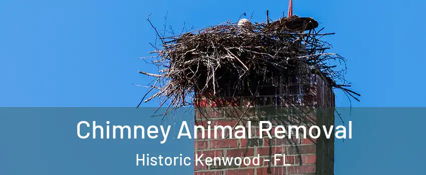 Chimney Animal Removal Historic Kenwood - FL