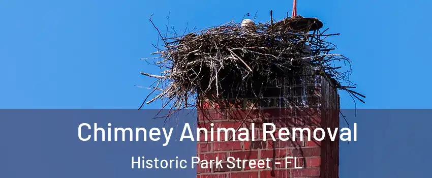 Chimney Animal Removal Historic Park Street - FL