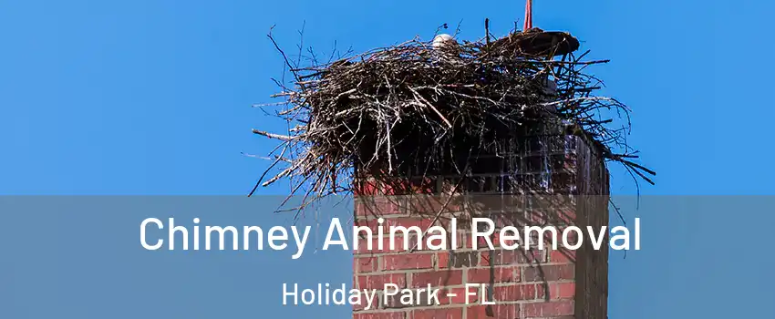 Chimney Animal Removal Holiday Park - FL