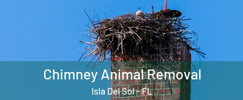 Chimney Animal Removal Isla Del Sol - FL