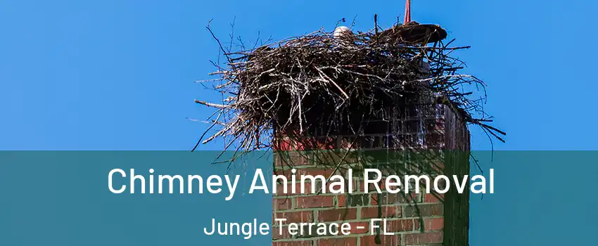 Chimney Animal Removal Jungle Terrace - FL