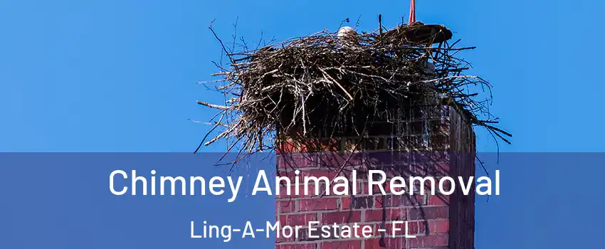 Chimney Animal Removal Ling-A-Mor Estate - FL