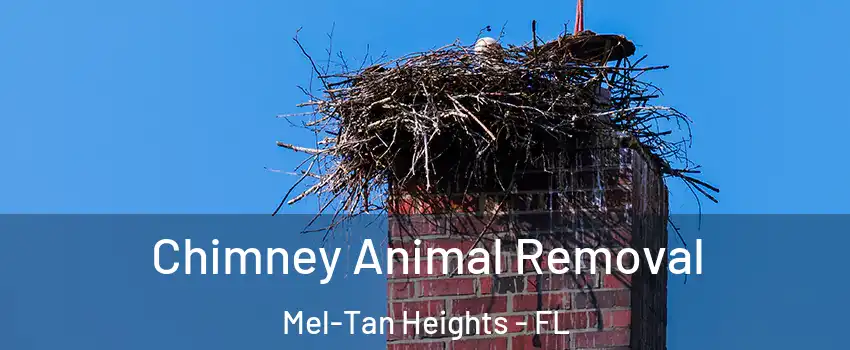 Chimney Animal Removal Mel-Tan Heights - FL