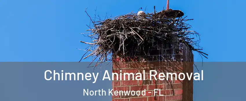 Chimney Animal Removal North Kenwood - FL