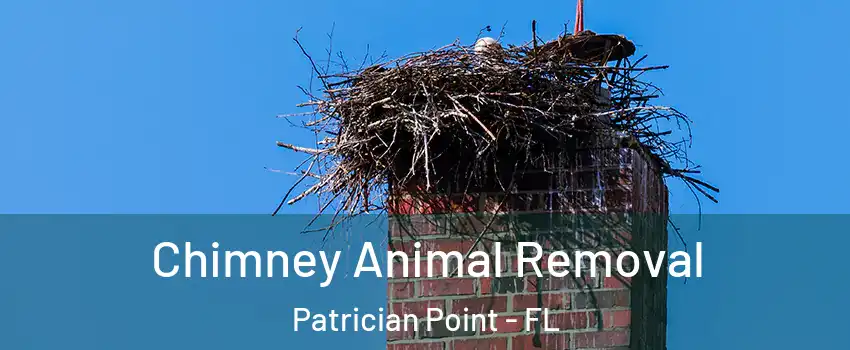 Chimney Animal Removal Patrician Point - FL