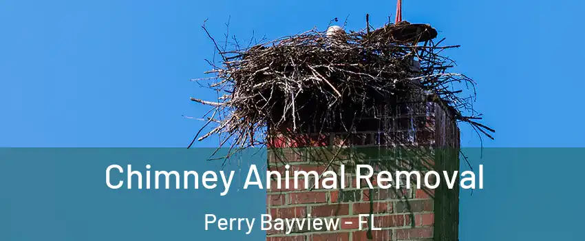 Chimney Animal Removal Perry Bayview - FL