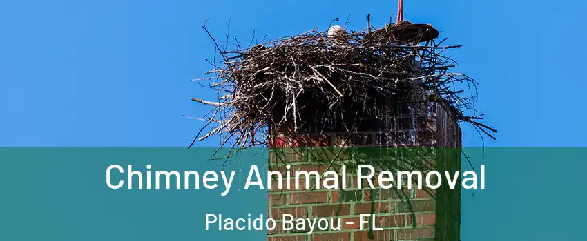 Chimney Animal Removal Placido Bayou - FL