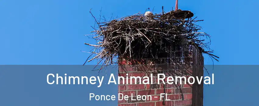 Chimney Animal Removal Ponce De Leon - FL