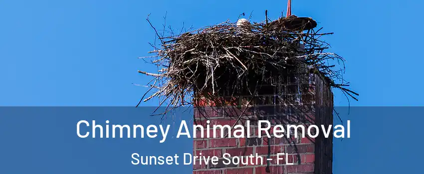 Chimney Animal Removal Sunset Drive South - FL