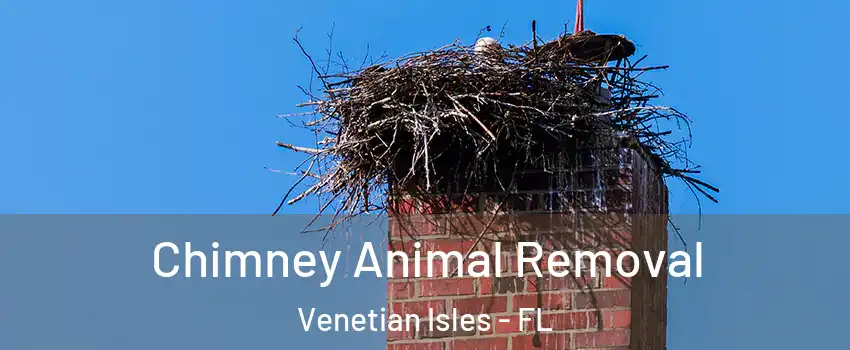 Chimney Animal Removal Venetian Isles - FL