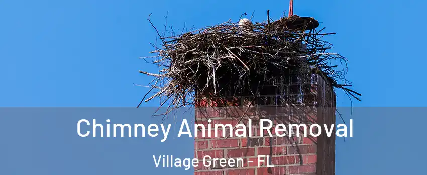 Chimney Animal Removal Village Green - FL