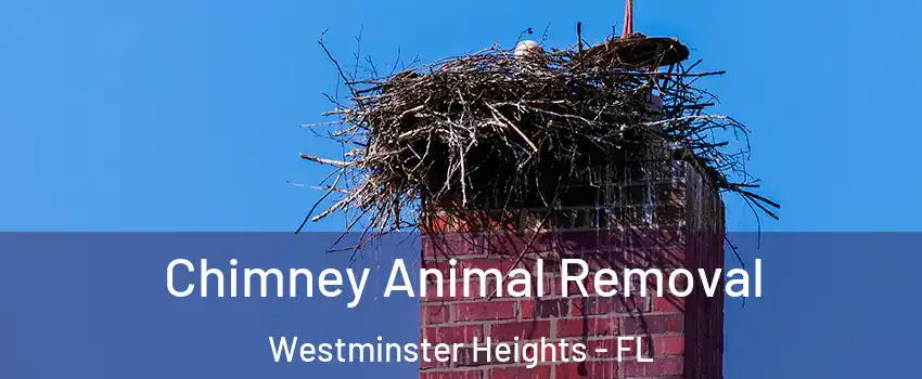 Chimney Animal Removal Westminster Heights - FL