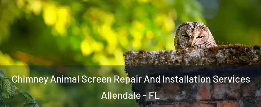 Chimney Animal Screen Repair And Installation Services Allendale - FL