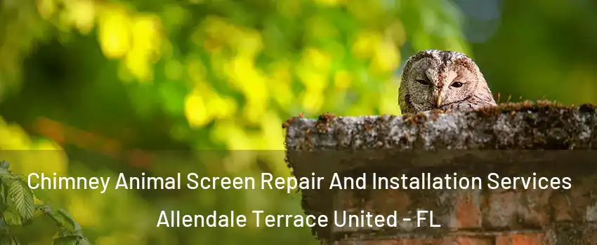 Chimney Animal Screen Repair And Installation Services Allendale Terrace United - FL
