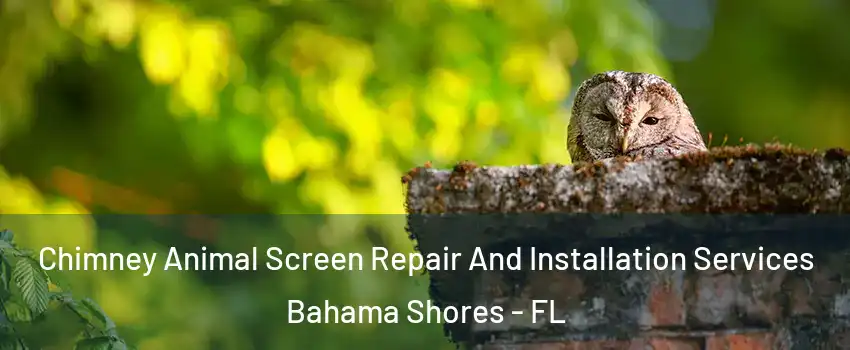 Chimney Animal Screen Repair And Installation Services Bahama Shores - FL