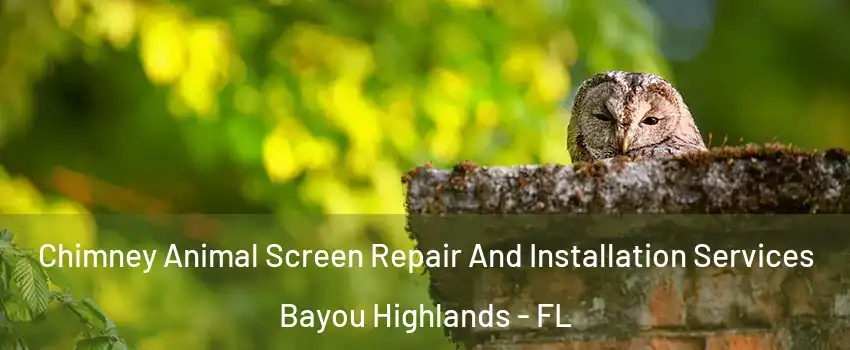 Chimney Animal Screen Repair And Installation Services Bayou Highlands - FL