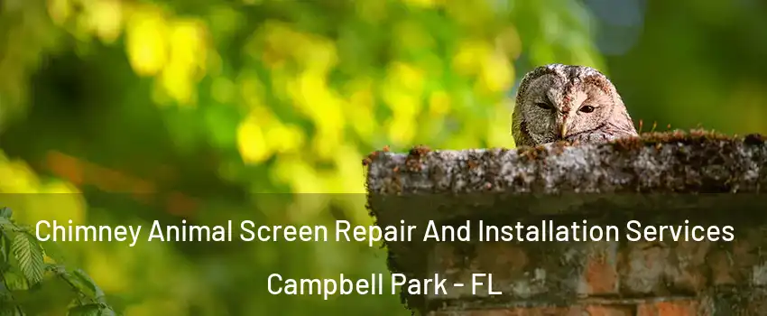 Chimney Animal Screen Repair And Installation Services Campbell Park - FL