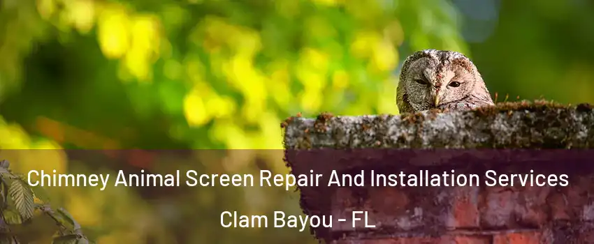 Chimney Animal Screen Repair And Installation Services Clam Bayou - FL