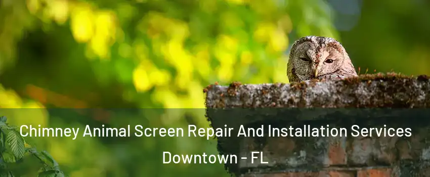 Chimney Animal Screen Repair And Installation Services Downtown - FL