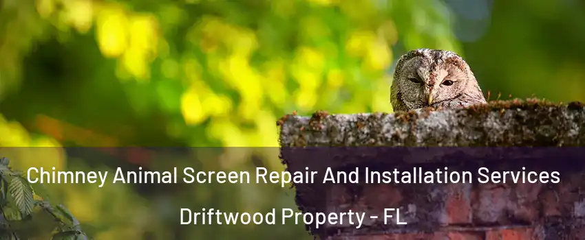 Chimney Animal Screen Repair And Installation Services Driftwood Property - FL