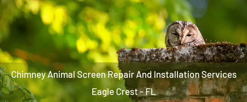 Chimney Animal Screen Repair And Installation Services Eagle Crest - FL