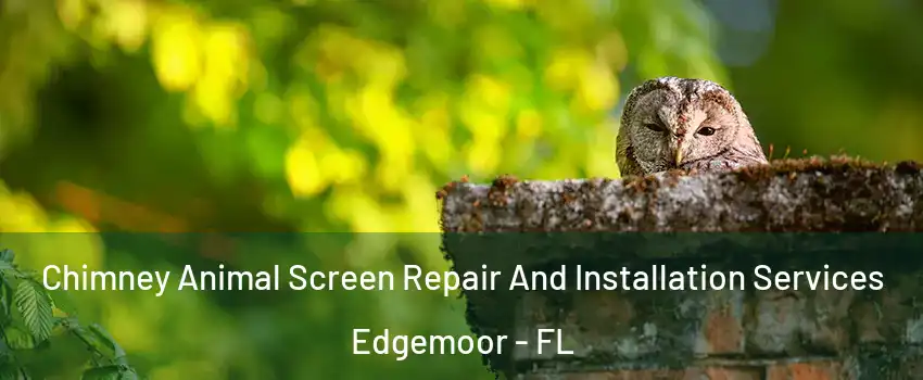 Chimney Animal Screen Repair And Installation Services Edgemoor - FL
