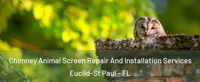 Chimney Animal Screen Repair And Installation Services Euclid-St Paul - FL