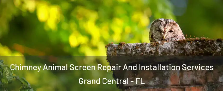 Chimney Animal Screen Repair And Installation Services Grand Central - FL