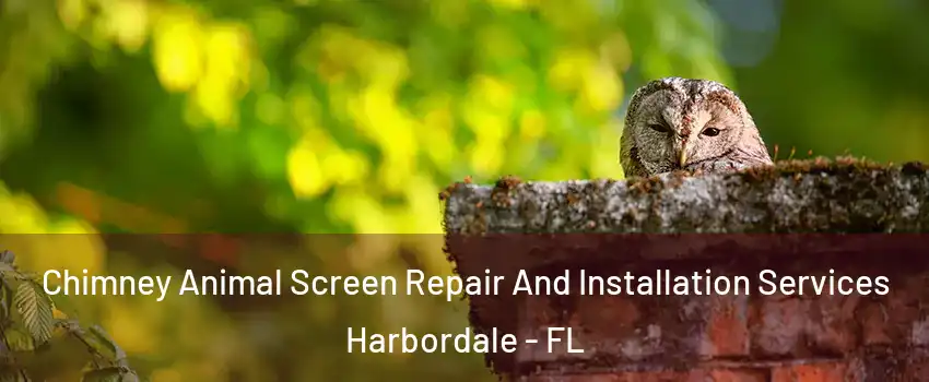 Chimney Animal Screen Repair And Installation Services Harbordale - FL