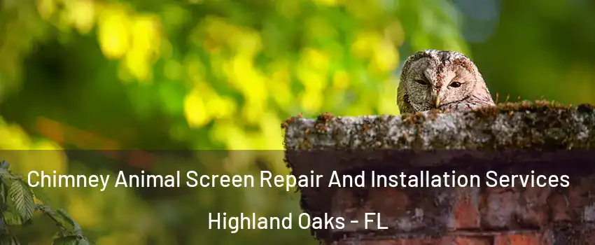 Chimney Animal Screen Repair And Installation Services Highland Oaks - FL