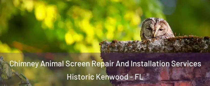 Chimney Animal Screen Repair And Installation Services Historic Kenwood - FL
