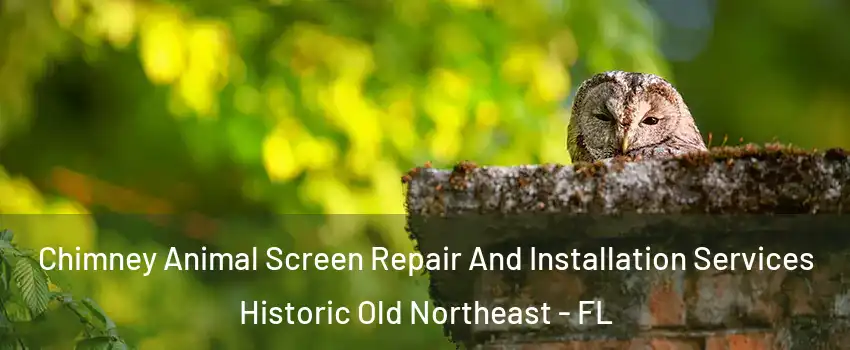 Chimney Animal Screen Repair And Installation Services Historic Old Northeast - FL