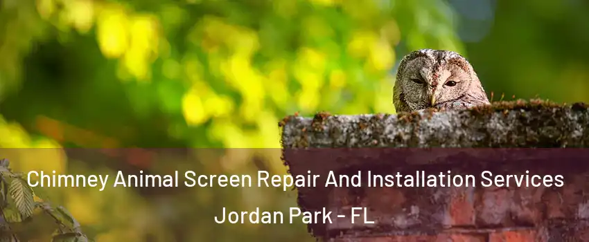 Chimney Animal Screen Repair And Installation Services Jordan Park - FL
